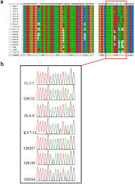 Visit now to see what's new! Frequent Heteroplasmy And Recombination In The Mitochondrial Genomes Of The Basidiomycete Mushroom Thelephora Ganbajun Scientific Reports