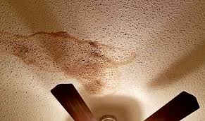 Ceiling fans save you energy during warm and cool periods. When Leaks Damage Ceiling Fans In San Diego 1st Response Leak Detection San Diego