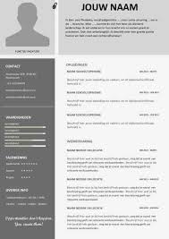 Multifuctionele Cv Inclusief Portfolio Pagina Ook Ideaal Voor Een Zzp Ers