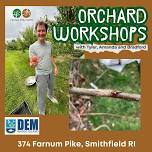 Orchard Care: Tree Crop Harvesting