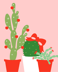 Cactus plants are one of the hardiest plants on the planet. December 2017 Christmas Cactus Calendar Wallpaper Sarah Hearts