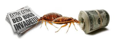 Pest control cost per square foot is just an estimate for how much product companies will be using around your home. How Much Does Bed Bug Treatment Cost What Is The Cost Of Getting Rid Of Bed Bugs