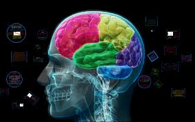 Stress Anxiety Arousal And Sports Performance By Chloe Edmead
