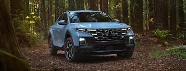 Image result for Blue Stone 2024 Santa Cruz