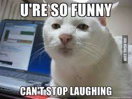 Not every joke you say is funny, lady. If Someone Tells An Unfunny Joke And Laughs At It 9gag