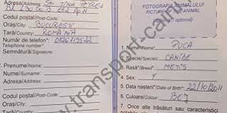 In mod regulat putem asigura calatoria cateilor si pisicilor dumneavoastra in cele. Procedura Transport Caini Acte Necesare Pasaport Transport Caini Transport Caini International