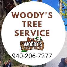 We did not find results for: Woody S Tree Service Llc Home Facebook