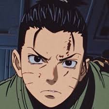 Miguel Cardoso (@miguelcardizze)