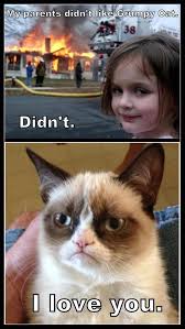 It's hardly possible to find someone who doesn't appreciate a funny picture with a cute kitty. Kitten Grumpy Cat Memes Novocom Top