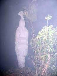 Satu yang sering iseng adalah hantu pocong bernama sumi. 7 Malaysian Ghost Ideas Hantu Cerita Hantu Gambar Hantu
