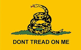 Pin By Savannah Bushnell On Embroidery In 2020 Dont Tread On Me Gadsden Bumper Stickers