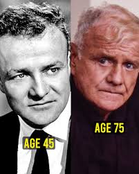 Whatever happened to Brian Keith from Family Affair?