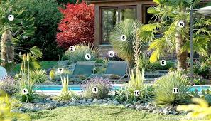 Amenager Une Rocaille Exotique Coloree Et Fleurie Fleurs Autour Piscine Design De Petit Jardin Decoration Jardin Exterieur
