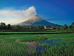 Its classic, symmetrical profile, which rises above the albay gulf to a height of 2462 m, is the result of a structurally simple. Mayon Volcano Eruption History Facts Britannica