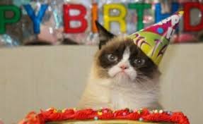 Create Meme Grumpy Cat Happy Birthday Mem Meme Cat Pictures Meme Arsenal Com
