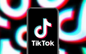 Many know the title for its fun and entertaining videos. The Tiktokers Of Minnesota Mpls St Paul Magazine