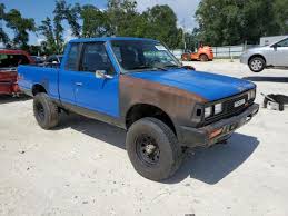 Image result for Deep Blue 1984 Datsun