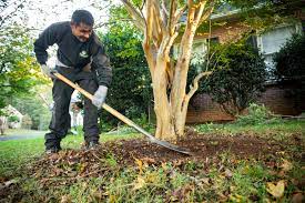 Maybe you would like to learn more about one of these? Easy Convenient 5 Things Your Lawn Care Or Landscaping Service Should Be Doing