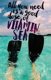 49 Travel Quotes To Inspire Your Next Adventure Sommer Spruche Strand Zitate Zitate Reisen