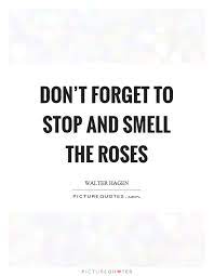 Don T Forget To Stop And Smell The Roses Picture Quotes