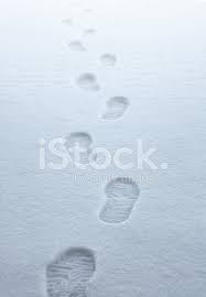 Fill your paper with these prints, leaving space between each one. Boot Spuren Im Schnee Stockfotos Freeimages Com