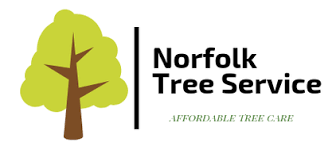 Affordable tree care near me. Tree Service Tree Removal Tree Company Norfolk Va