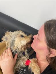 Saying goodbye to pet after 14 years