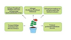 We did not find results for: Tulislah Manfaat Tumbuhan Bagi Makhluk Hidup Dalam Diagram Berikut Tribun Padang