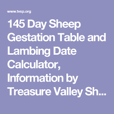 145 Day Sheep Gestation Table And Lambing Date Calculator Information By Treasure Valley Sheep Producers Sheep Gestation Calculator Day