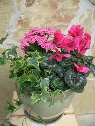 Houston Garden Center Cornelius Nursery Offers Customer Container Gardens Get Inspirational Ideas Or Choose Houston Garden Garden Center Container Gardening