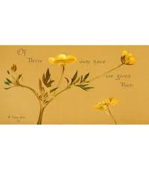 Image result for Crossandra greenstockii