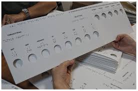 Zero Project A Ballot Template For The Blind