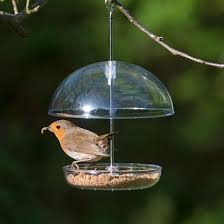 Maybe you would like to learn more about one of these? I Love Robins Dome Feeders Rspb Shop