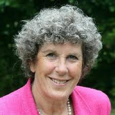 Winchester local election: The 3 candidates in The Worthys