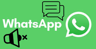 Come capire se ti hanno silenziato su WhatsApp