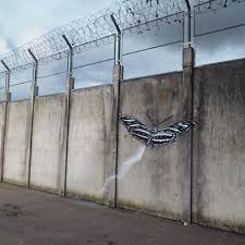 Artist C215 Maison D Arret De Bois D Arcy Fr Cour De Promenade De La Prison Streetart C215 Street Art Art