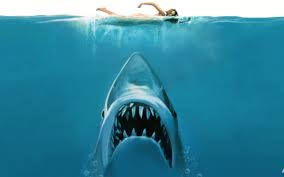 Size en uygununu bulmak için aliexpress'teki en iyi jaws 2 poster yelpazesini keşfedin! 71 Jaws Wallpaper On Wallpapersafari