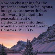 Verse4Today Hebrews 12:7‭, ‬11... - Sapphire Throne Media | Facebook