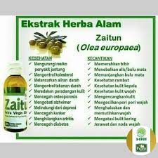 Jakarta minyak zaitun merupakan minyak yang dibuat dengan cara mengambil ekstrak lemak dari buah zaitun. Minyak Zaitun Hpai Untuk Wajah Rambut Bibir Kulit Kecantikan Shopee Indonesia