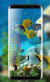 Download and use 30,000+ 4k wallpaper stock photos for free. Fish Aquarium Live Wallpaper Hd Background Themes For Android Apk Download