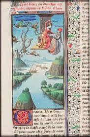 Image result for Salacia