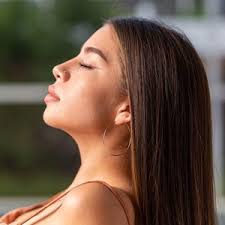 Crystal Earrings for Women, Elegant Bridal Crystal Dangle, Drop earring,  Purple Wedding Earrings, Small earrings, Bride earring bridesmaid