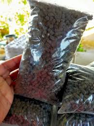 Contextual translation of baja tahi ayam into english. Suburkan Tanaman Guna Sisa Bahan Dapur Je Mudah Jimat Bebas Bahan Kimia Keluarga