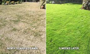 Enjoy your outdoor living space with a greener, healthier lawn. Scarifying And Dethatching