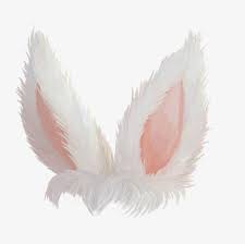 Pin On Aajajjjajjaj C Mamo