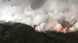You can find information on fires that pose a significant safety risk, air quality, fire danger ratings and more. B C Wildfires State Of Emergency Extended Until Sept 12 Ctv News