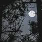 Lunar Harmony: Full Moon Healing Ceremony event image
