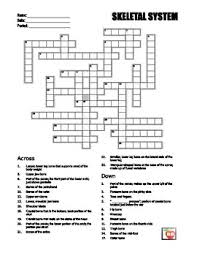 10000+ results for 'anatomy crossword'. Bt 7959 Crossword Skeletal System Diagram Free Diagram