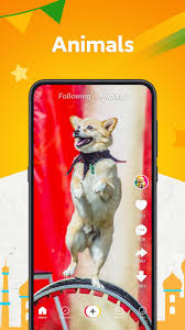 Zili For Android Apk Download