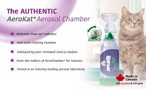 A cat asthma attack can be tough to spot because symptoms can easily be mistaken for a hairball, especially in the early stages. Amazon Com The Original Aerokat Feline Aerosol Chamber Inhaler Spacer For Cats And Kittens With Exclusive Flow Vu Indicator Pet Health Care Supplies Pet Supplies